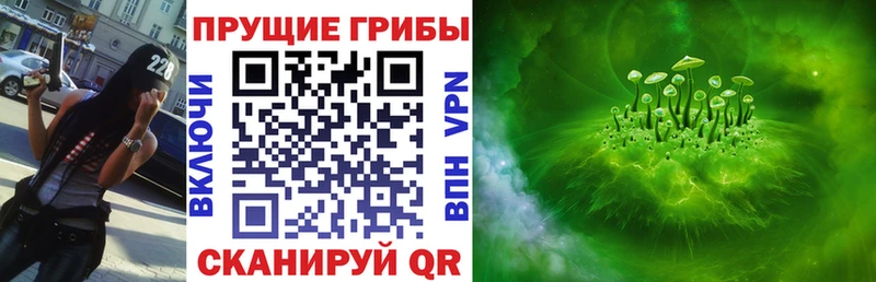 Псилоцибиновые грибы GOLDEN TEACHER  Апатиты 