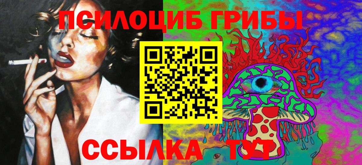 закладка  Галлюциногенные грибы прущие грибы  Апатиты  Псилоцибиновые грибы Psilocybe 