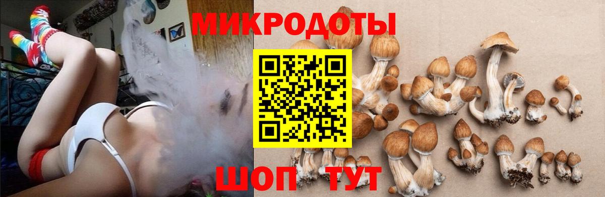Псилоцибиновые грибы мухоморы  закладка  Апатиты  Вход с VPN 