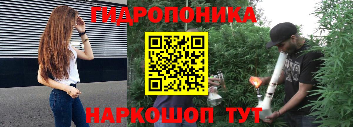 Бошки марихуана индика  Шишки марихуана планчик  Шишки марихуана LSD WEED  Апатиты 